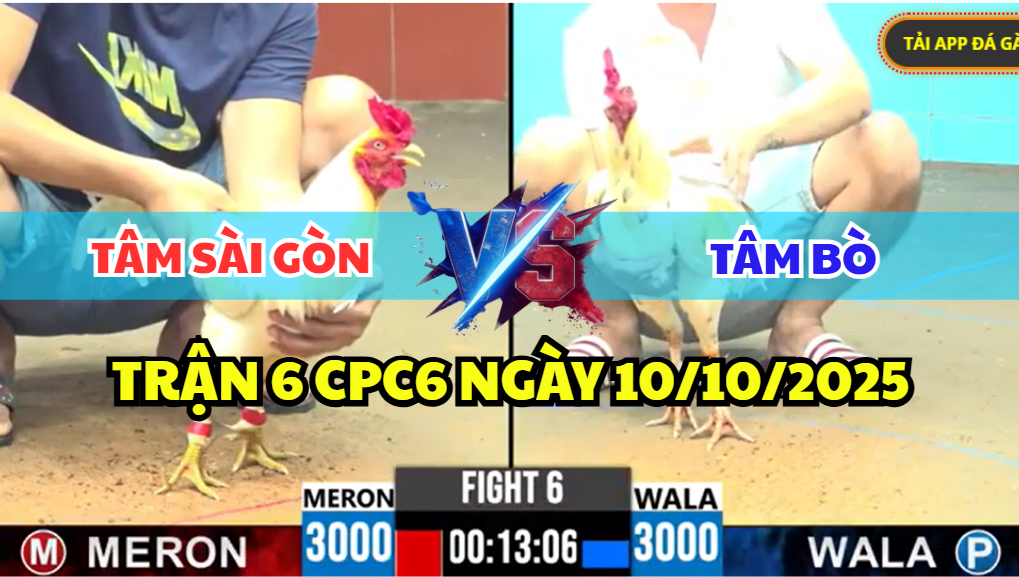 trận 6 cpc6 ngày 13/10/2025 hôm nay