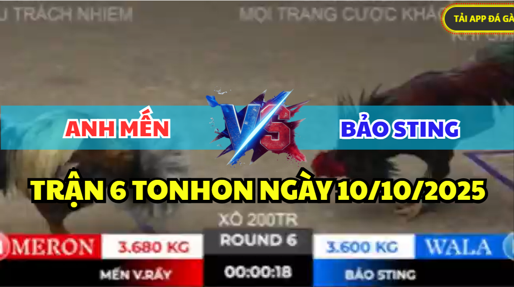 trận 6 tonhon ngày 10/10/2025 hôm nay giữa anh mến vàm rãy vs anh bảo sting
