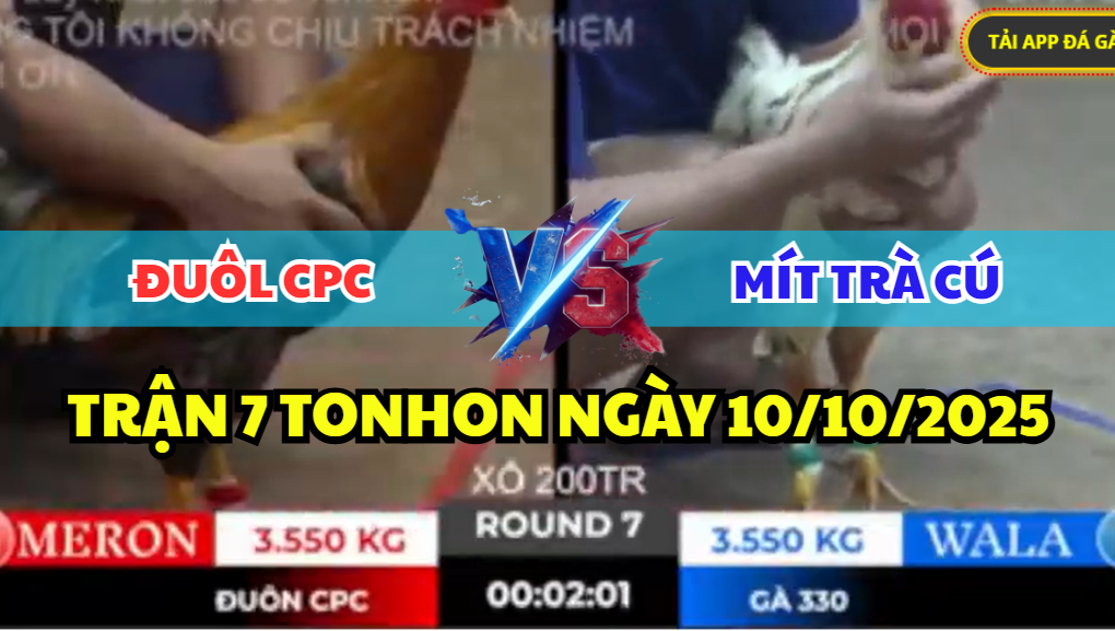 trận 7 tonhon ngày 10/10/2025 hôm nay giữa anh đuôl cpc vs mít trà cú