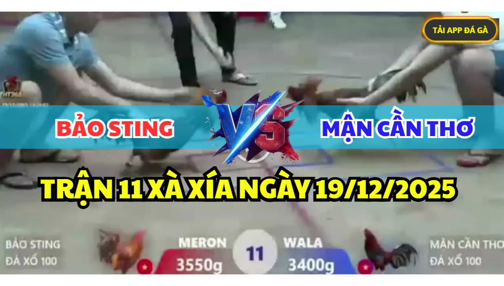 trận 11 bồ xà xía ngày 19/12/2025