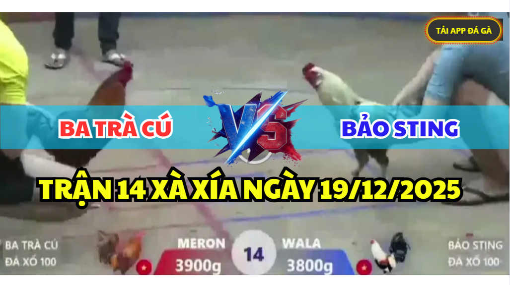 trận 14 bồ xà xía ngày 19/12/2025