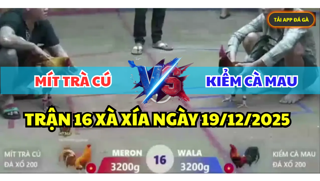 trận 16 bồ xà xía ngày 19/12/2025