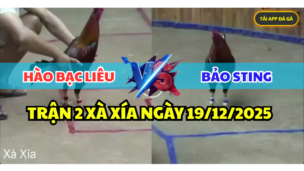 trận 2 bồ xà xía ngày 19/12/2025