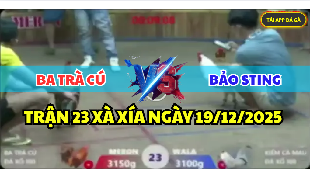 trận 23 xà xía ngày 19/12/2025