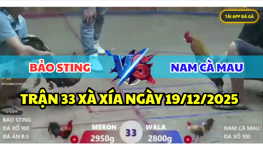 trận 33 xà xía ngày 19/12/2025