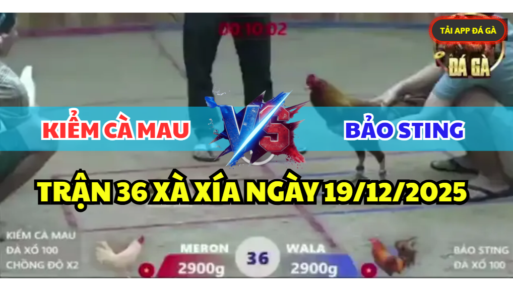 trận 36 xà xía ngày 19/12/2025