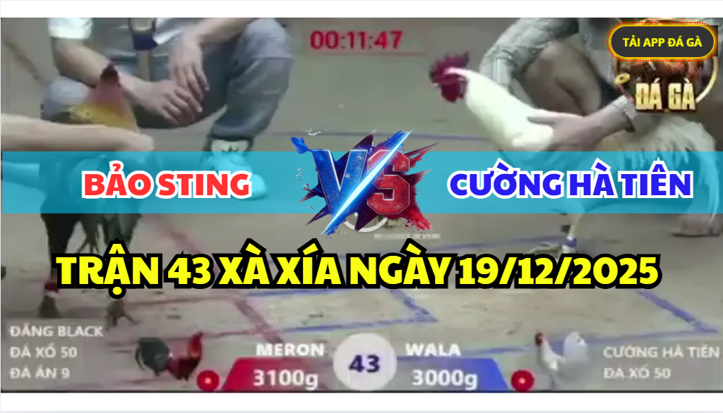 trận 43 xà xía ngày 19/12/2025