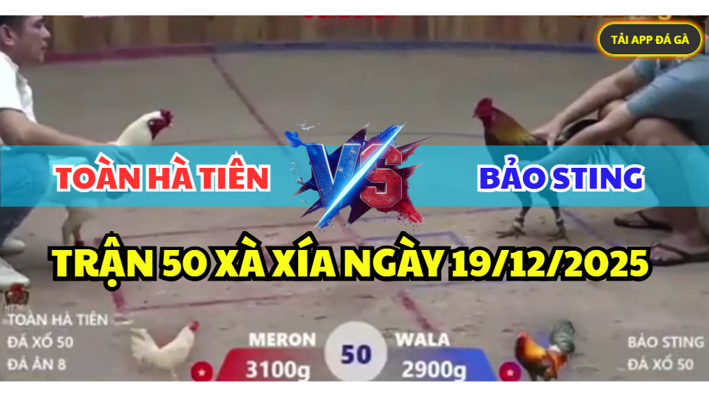 trận 50 xà xía ngày 19/12/2025
