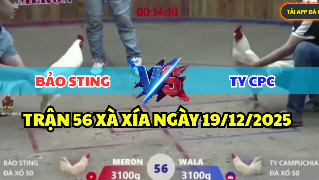 trận 56 xà xía ngày 19/12/2025