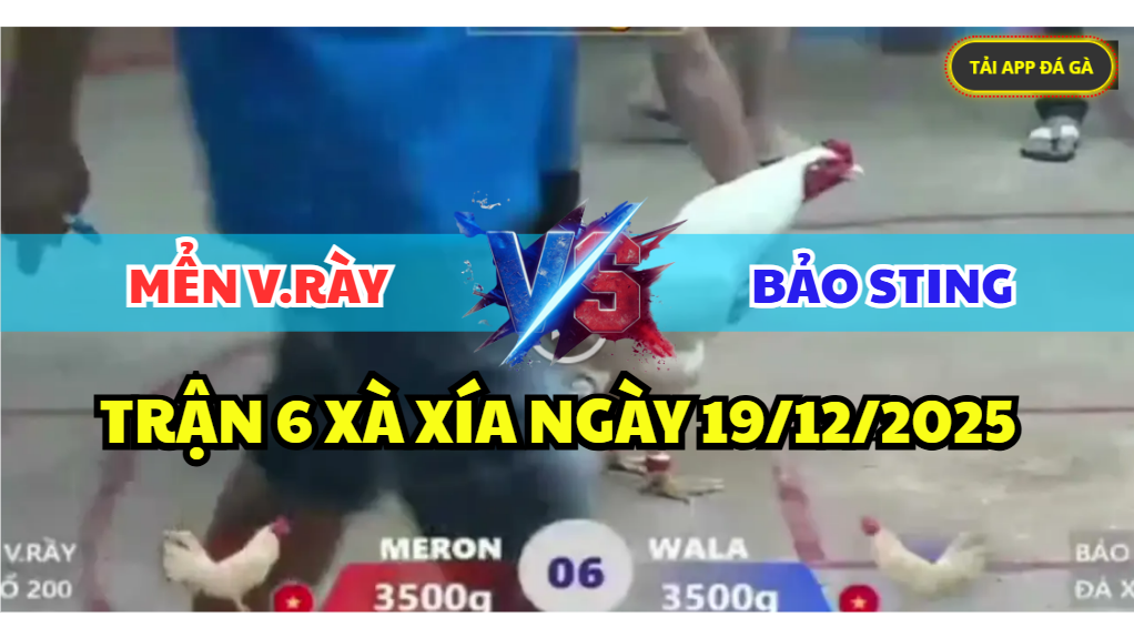 trận 6 bồ xà xía ngày 19/12/2025