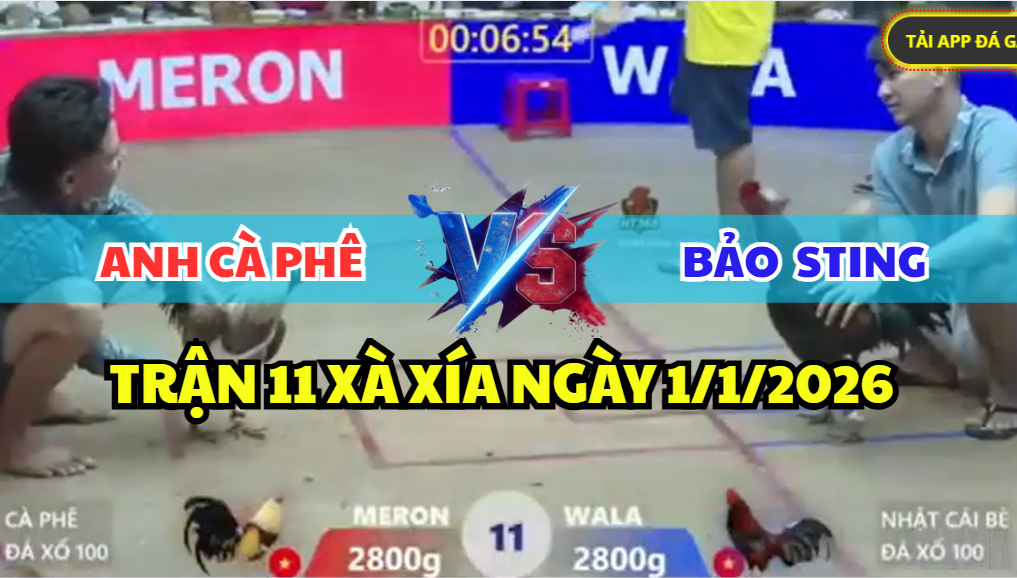 trận 1 xà xía ngày 1/1/2026