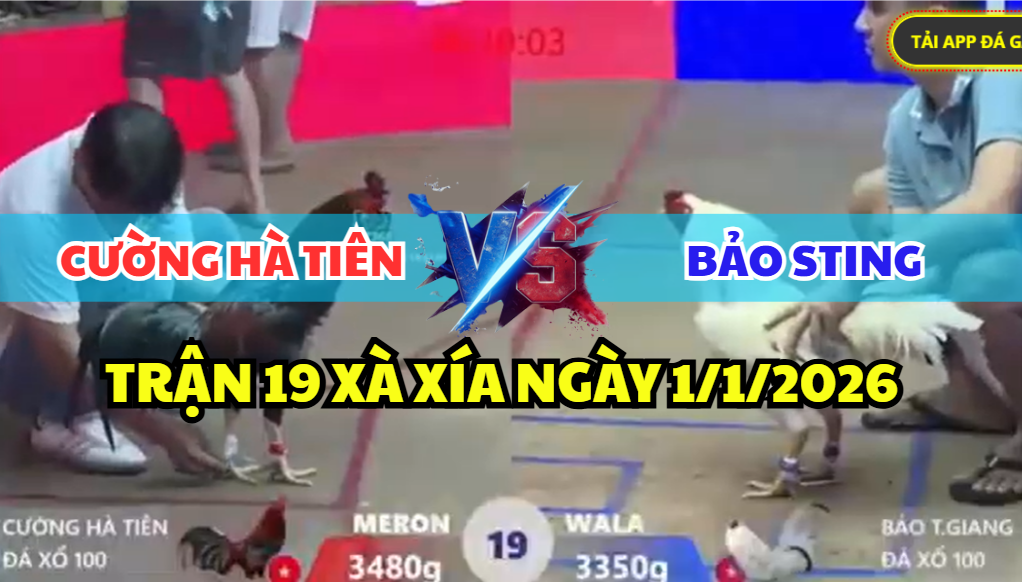 trận 19 xà xía ngày 1/1/2026