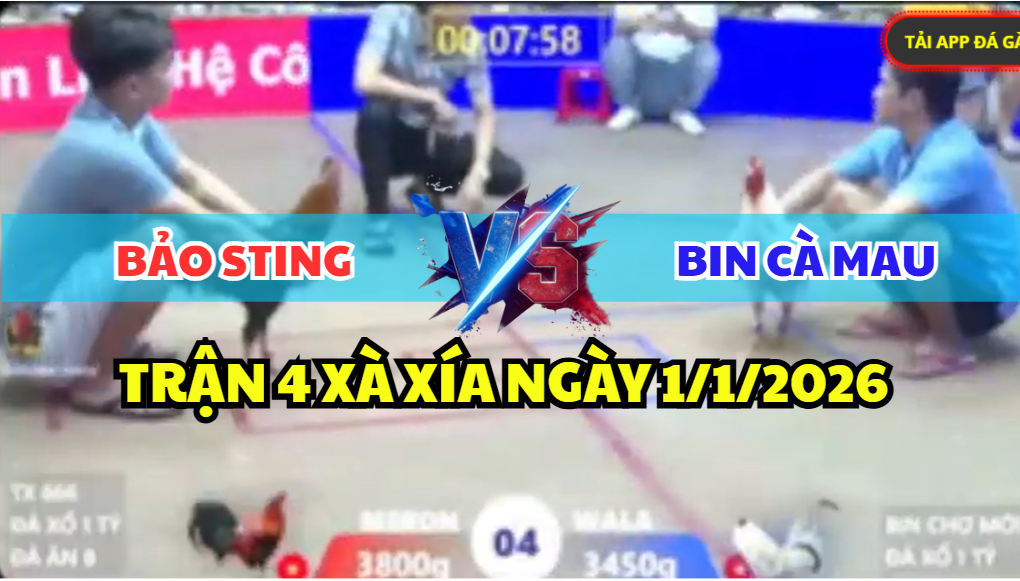 trận 4 xà xía ngày 1/1/2026