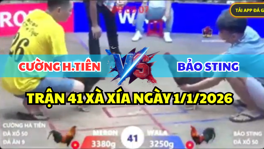 trận 41 xà xía ngày 1/1/2026