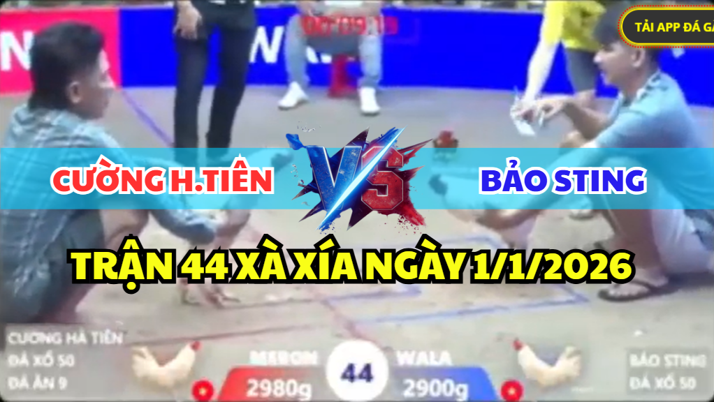 trận 44 xà xía ngày 1/1/2026