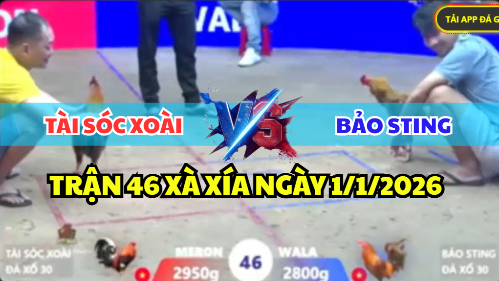 trận 46 xà xia ngày 1/1/2026