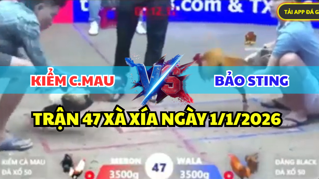 trận 47 xà xía ngày 1/1/2026