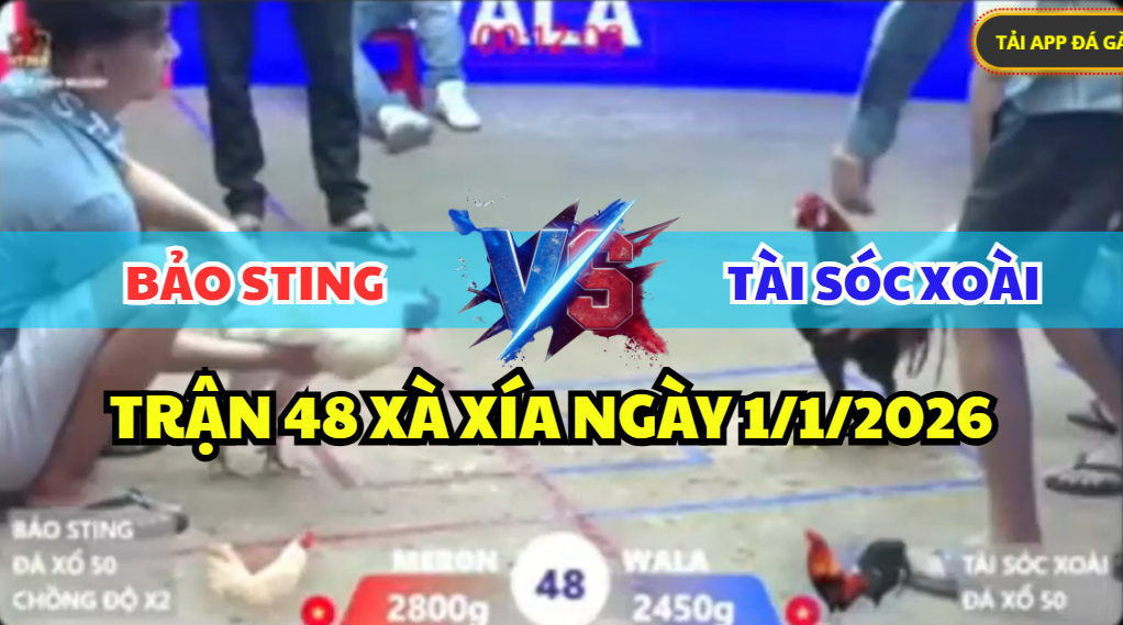 trận 48 xà xía ngày 1/1/2026