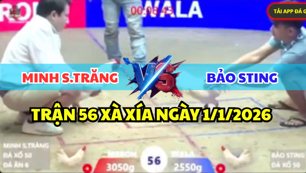 trận 56 xà xía ngày 1/1/2026